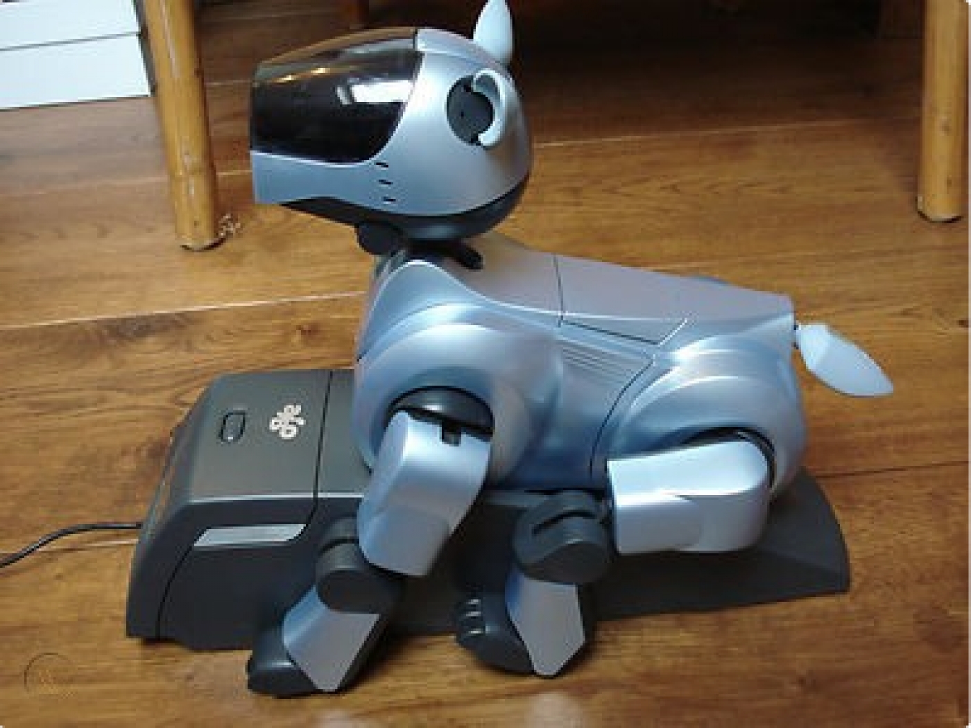 Aibo ERS-210 DHS - Droopy Head Syndrome